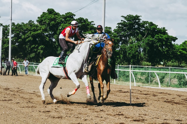 two-white-and-brown-running-horses-1462345